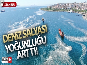 İstanbul sahillerini istila eden deniz salyalarında yoğunluk arttı