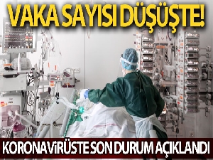 Koronavirüste son durum ne ? Vaka sayısı düşüşte mi ?