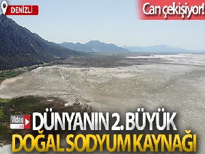 Dünyanın 2. büyük doğal sodyum kaynağı 'Acıgöl' can çekişiyor
