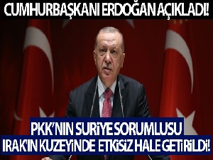 Cumhurbaşkanı Erdoğan duyurmuştu! İşte operasyonun perde arkası
