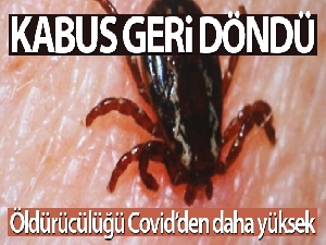 Kabus geri döndü, öldürücülüğü Covid'den yüksek