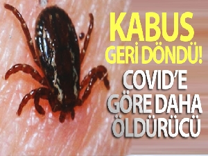 Kabus geri döndü! Covid'e göre daha öldürücü