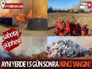 Biyokütle enerji santrali yangınında alevler 60 dönümlük alanı etkiledi