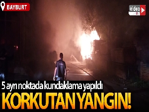 Bursa'da 5 ayrı noktada çıkan yangın korkuttu