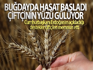 Buğdayda hasat başladı, çiftçinin yüzü gülüyor