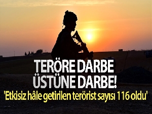 MSB: 'Etkisiz hâle getirilen terörist sayısı 116 oldu'