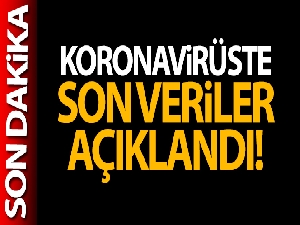 Türkiye'de son 24 saatte 11.553 koronavirüs vakası tespit edildi