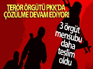 Terör örgütü PKK'da çözülme devam ediyor!