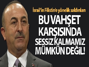 Bakan Çavuşoğlu, BM Genel Kurulu'nda konuştu
