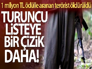 'Turuncu' kategoride aranan 1 milyon TL ödüllü terörist öldürüldü