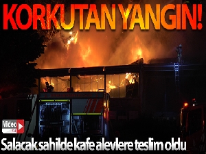 Salacak'ta kafeyi alevler sardı