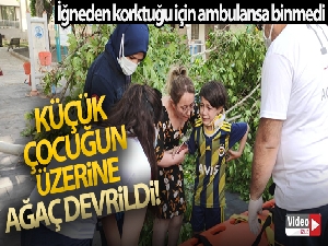 Üzerine ağaç devrildi, iğneden korktuğu için ambulansa binmedi