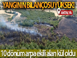 Ormanlık alanda çıkan yangın 10 dönüm arpa ekili alanı küle çevirdi