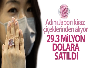 Hong Kong'da pembe-mor elmas 29.3 milyon dolara satıldı