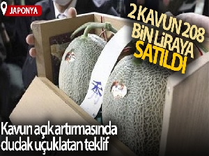 Japonya'daki kavun açık artırmasında dudak uçuklatan teklif