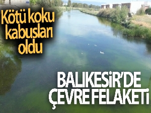 Balıkesir'de çevre felaketi