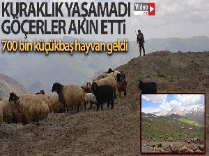 Ülkedeki göçerler Şırnak yaylalarına akın ediyor