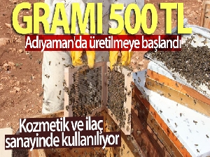 Gramı 500 TL olan arı zehri Adıyaman'da üretilmeye başlandı