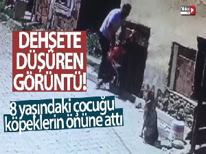 Yaramazlık yaptığı gerekçesiyle 8 yaşındaki çocuğu köpeklerin önüne attı