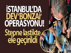 İstanbul'da dev 'bonzai' operasyonu: Stepne lastikte ele geçirildi
