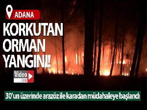 Kozan'da orman yangını kontrol altına alındı