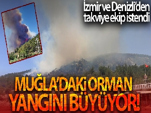 Muğla'daki yangın 10 saat sonra kontrol altına alındı