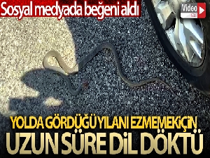 Yolda gördüğü yılanı ezmemek için uzun süre dil döktü