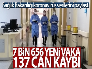 Türkiye'de son 24 saatte 7.656 koronavirüs vakası tespit edildi