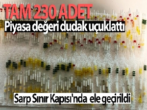 Sarp Sınır Kapısı'nda toplam 230 tüp arı ve kobra yılanı zehri ele geçirildi