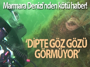 Marmara Denizi'nden kötü haber! Dipte göz gözü görmüyor