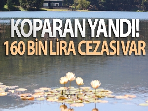 Bolu'da, tabiat parklarındaki nilüferleri koparanlara 160 bin lira ceza