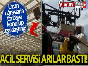 Acil servisi arılar bastı