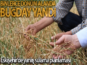 Eskişehir'de yanlış sulama planlaması ekinleri yaktı