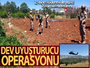 Diyarbakır'da dev uyuşturucu operasyonu: Milyonlarca  kök kenevir ele geçirildi, 26 kişi gözaltına alındı