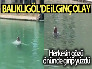 Herkesin gözü önünde Balıklıgöl'e girip yüzdü