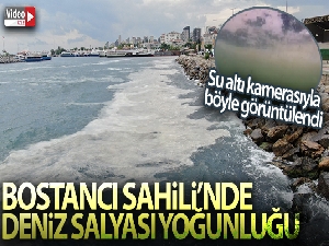 Bostancı Sahili'nde deniz salyası yoğunluğu su altı kamerasıyla görüntülendi