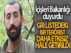 Gri listedeki bir terörist daha etkisiz hale getirildi