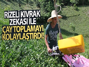 Rizeli kıvrak zekası ile çay toplamayı kolaylaştırdı