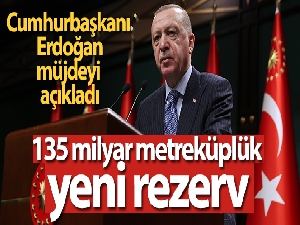 Cumhurbaşkanı Erdoğan'dan 135 milyar metreküplük gaz müjdesi