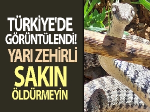 İstanbul'da kısıtlamasız ilk cumartesinde trafik yoğunluğu