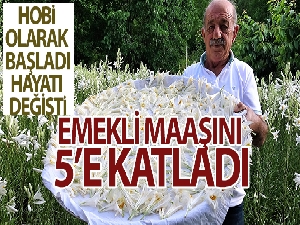 Hobi olarak başladı, hayatı değişti