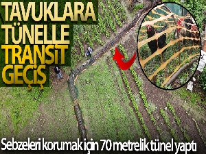 Tavuklara tünelle transit geçiş