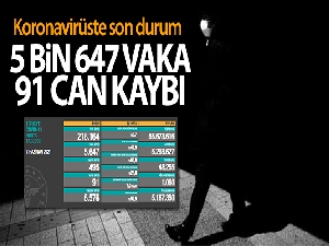 Türkiye'de son 24 saatte 5.647 koronavirüs vakası tespit edildi