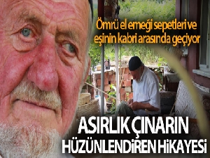 Asırlık çınarın hüzünlendiren hikayesi