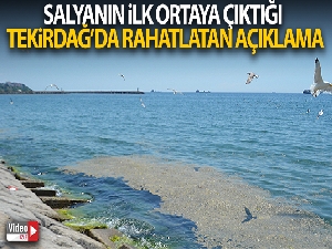 Salyanın ilk ortaya çıktığı Tekirdağ'da rahatlatan açıklama: 'Bunun sonu geldi diyebiliriz'