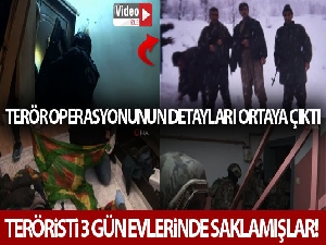 HDP'li ilçe başkanı karı kocanın PKK'lı teröristi evinde sakladığı ortaya çıktı