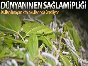 Dünyanın en sağlam ipliği