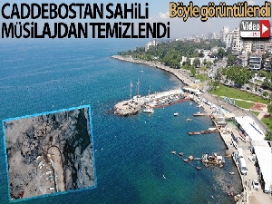 Caddebostan sahili müsilajdan temizlendi