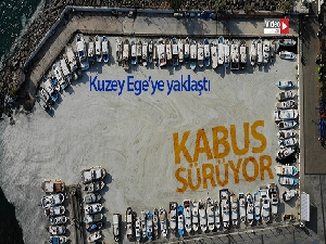 Çanakkale Boğazı'nda müsilaj kabusu sürüyor