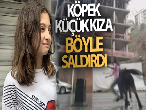 Eyüpsultan'da köpek kız çocuğuna saldırdı